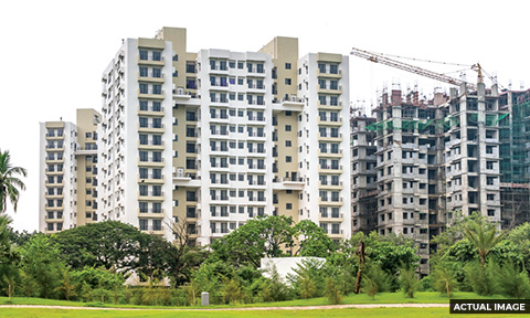 Alta Monte – Unit Plan